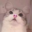 ͷ