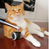 ͷ��