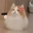 ͷ