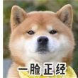 偑流ing