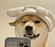 ͷ
