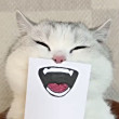 ͷ