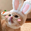 ͷ