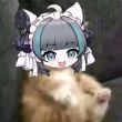 ͷ��