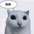 97岁年轻小伙