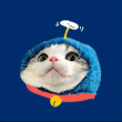 ͷ��