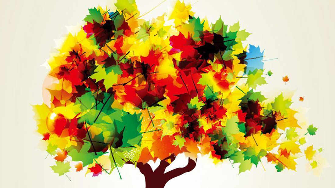 为什么人们看到的颜色差别那么大？