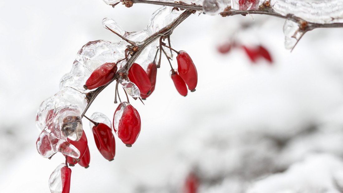 24节气成世界非物质文化遗产！科学还是文化？