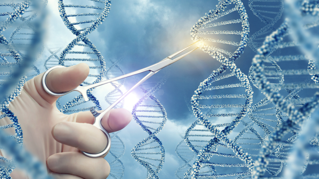 脂肪减少24％，基因编辑的瘦猪肉你要来一口吗？