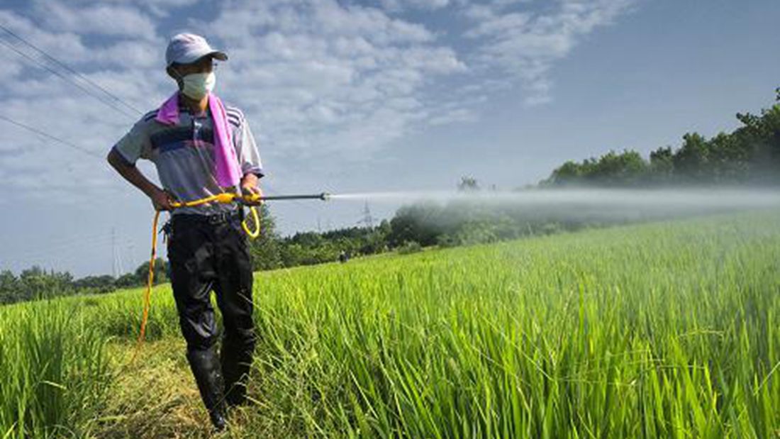 消灭臭虫的终极方法！