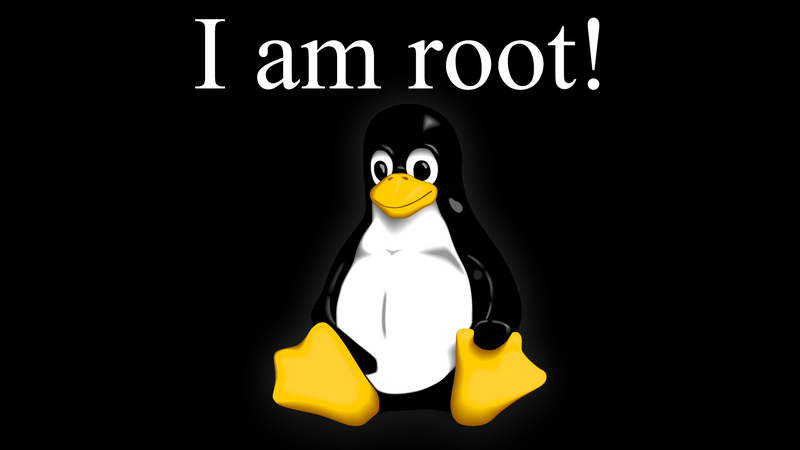 【奇思妙想】假如人体被Root会怎样？
