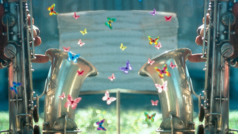 哪些昆虫堪称“音乐家”？