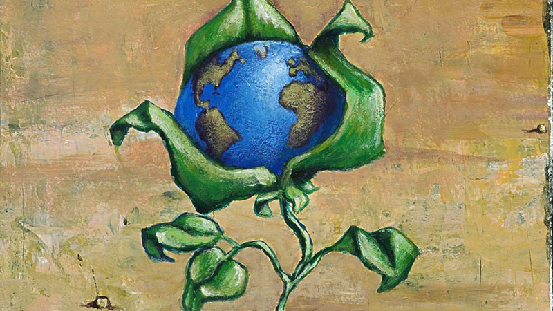地球上最初的氧气可能并非来自植物？