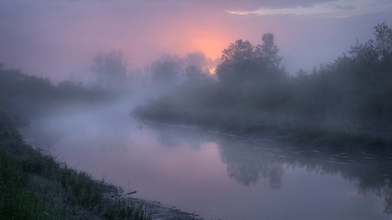 我们为何不能忍受“死寂”？