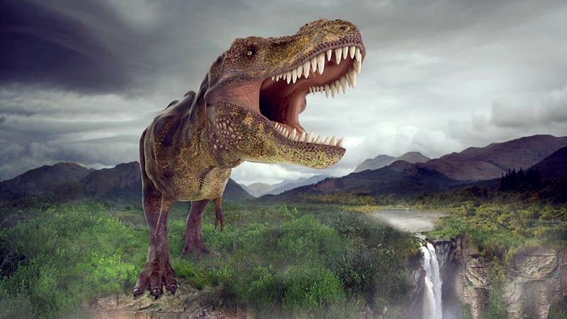 第六次生物大灭绝：危言耸听还是日益临近？