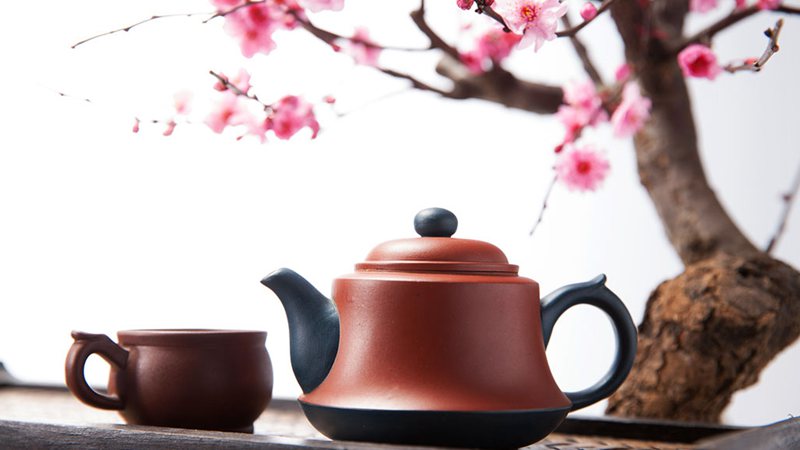 哪种茶最适合你？