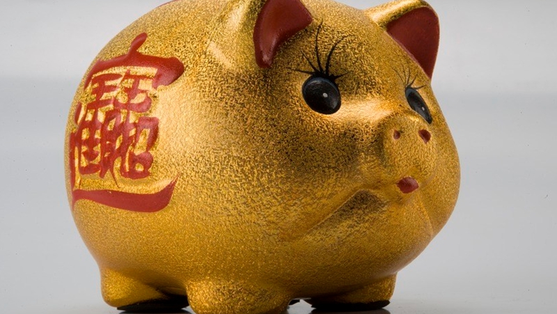 猪的智商可以媲美狗和黑猩猩？