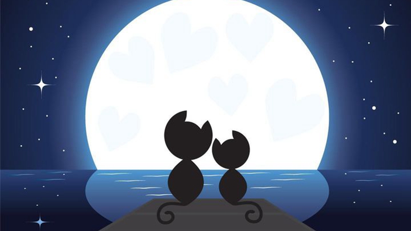 七夕：你不了解的爱情魔咒？