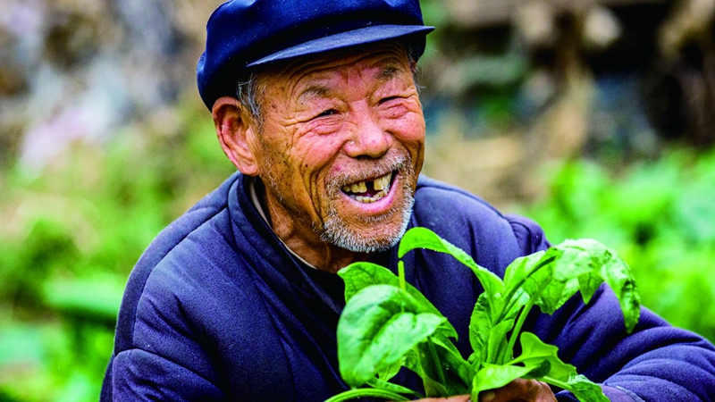 聪明的人更长寿？