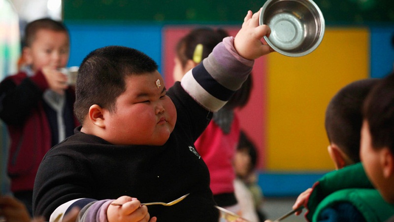 胖子为何总是“吃不饱”？