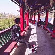 淘宝运营淘宝运营是干嘛的?