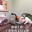 在php中如何对一个数组进行升序和降序排