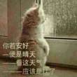 ml中怎样给textarea赋值