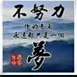 空穴来风猜一什么生肖
